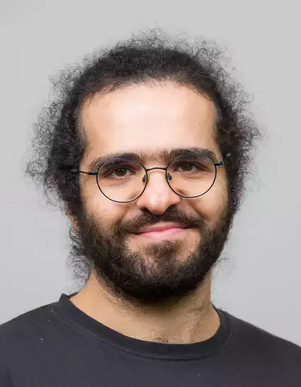 Shervin Safavi, PhD